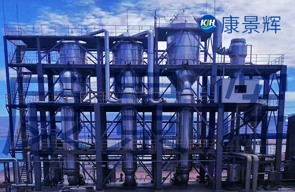 3t/h丁二酸三效蒸發器